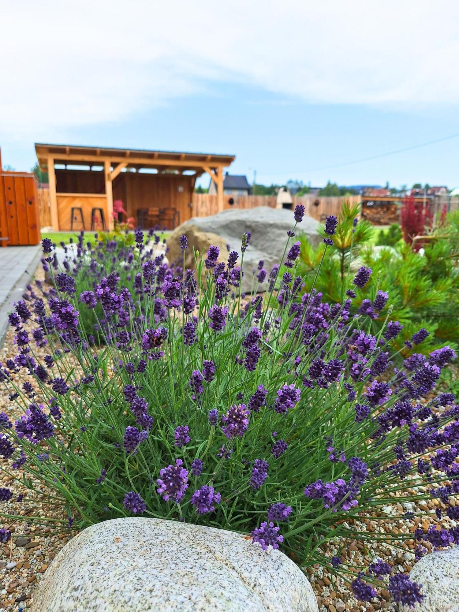 Domki Szczyt Beztroski Jacuzzi & Sauna Nowy Targ Exterior foto